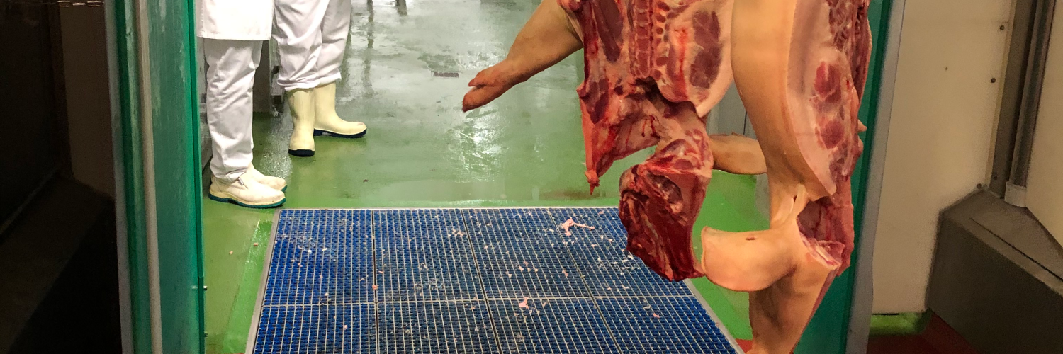 ProfilGate® tire and sole cleaning at Meat Processing plant