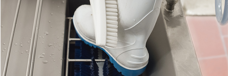 Máy vệ sinh ủng HEUTE Neptun SC 1 cho nhà máy kem Máy vệ sinh ủng HEUTE Neptun SC 1 cho nhà máy kem