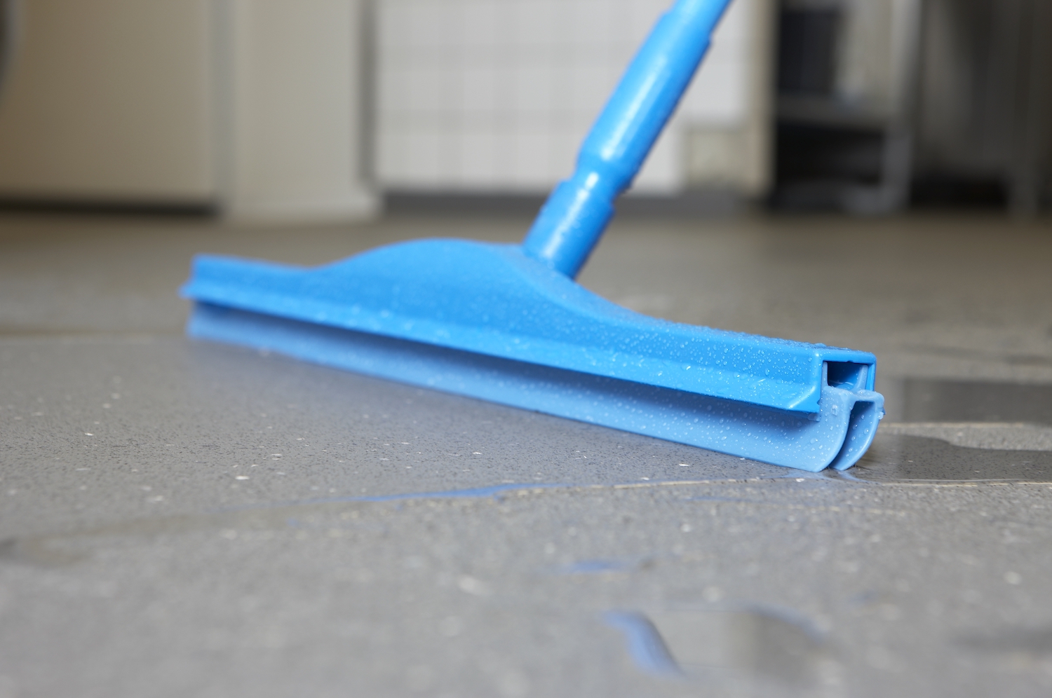 Hygienic Floor Squeegee w/replacement cassette, 505 mm, , Blue